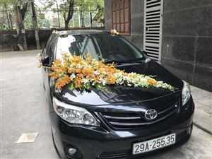 Trang Trí Hoa Xe Cưới HXC06