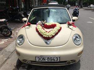 Trang Trí Hoa Xe Cưới HXC09