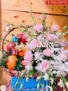 Tráp Dạm Ngõ Đẹp - DN15