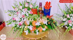 Tráp Dạm Ngõ Vip 11